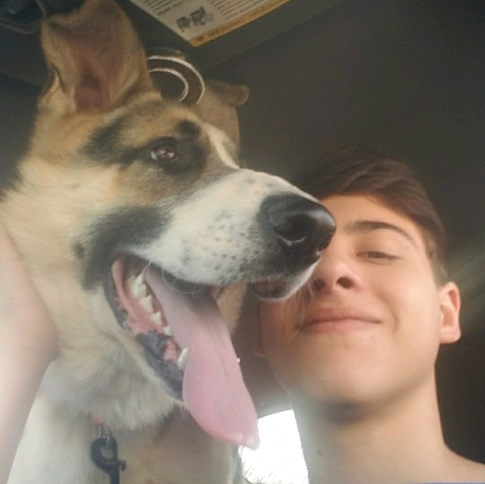 Meet your Posher, Oliver